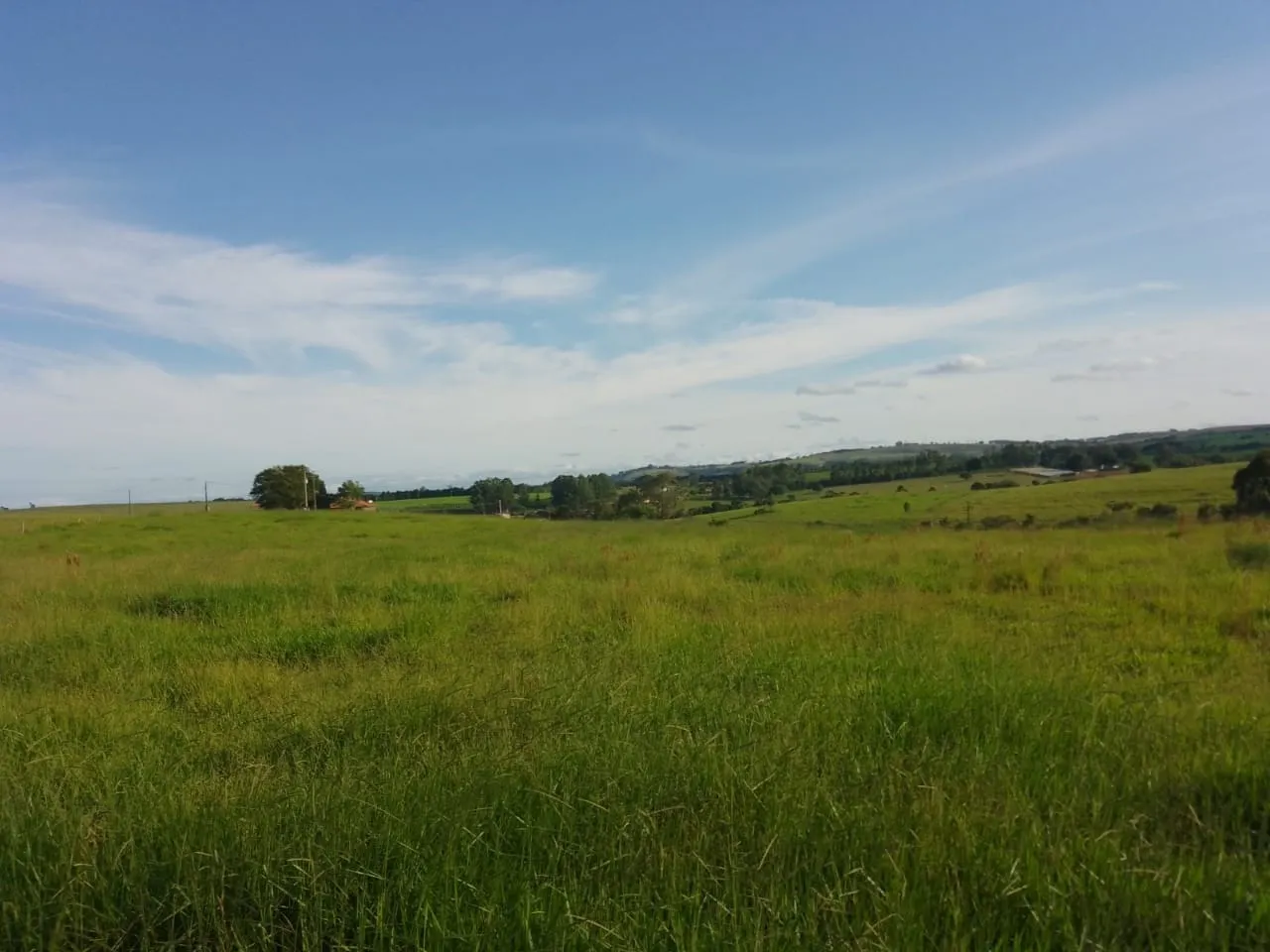 Sítio à venda de 40 ha em Itapetininga, SP, Brasil