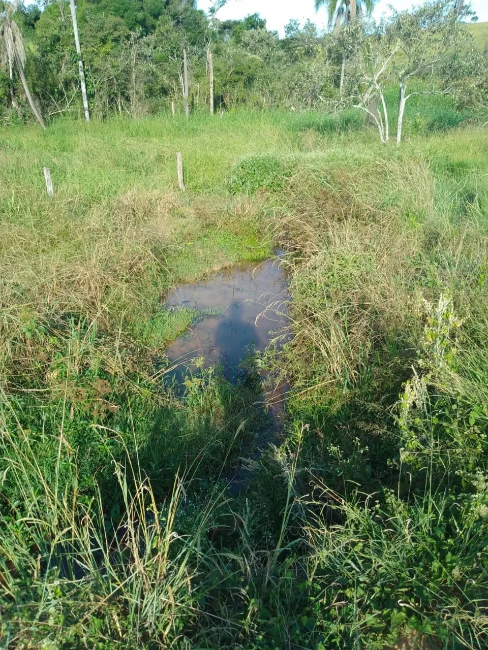 Sítio à venda de 40 ha em Itapetininga, SP, Brasil