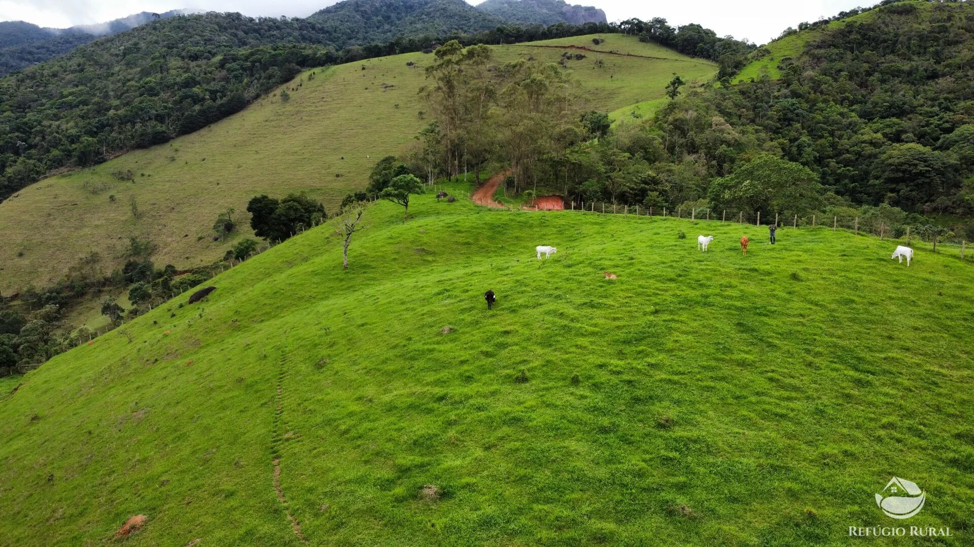 Plot for sale of 15 acres in São José dos Campos, SP, Brazil