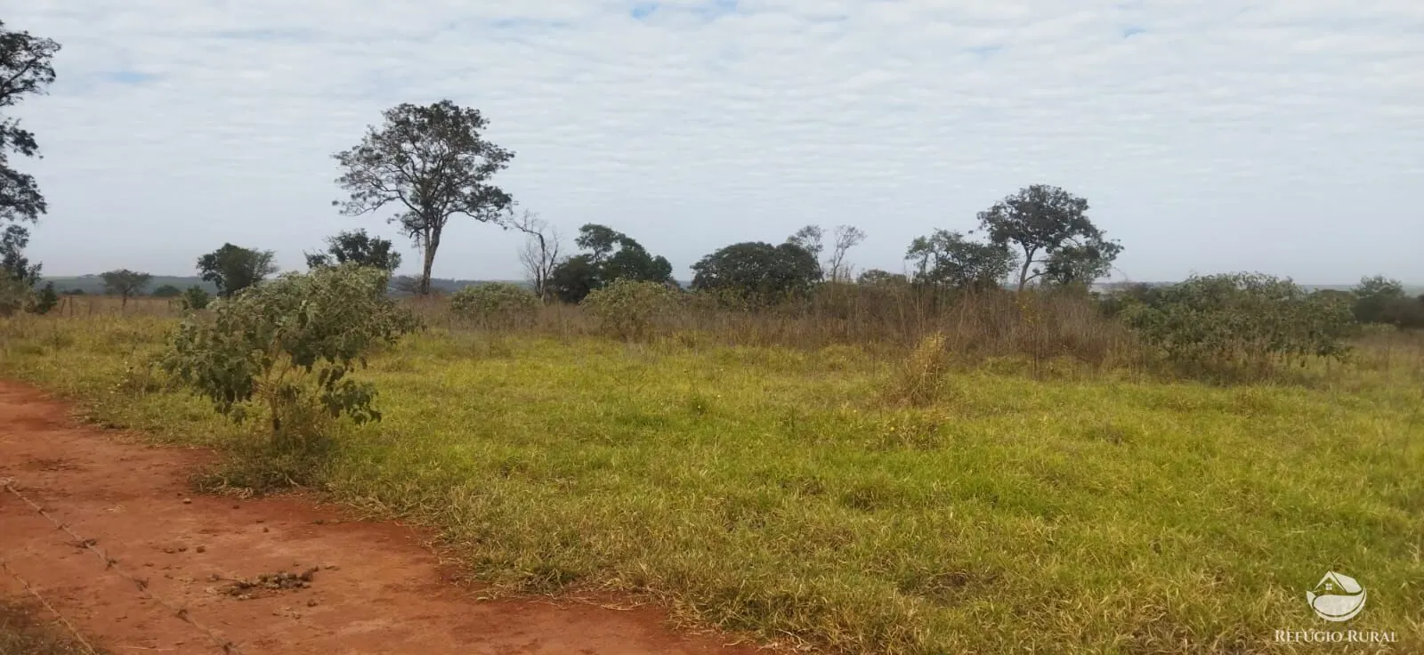 Small farm for sale of 26,312 acres in Frutal, MG, Brazil