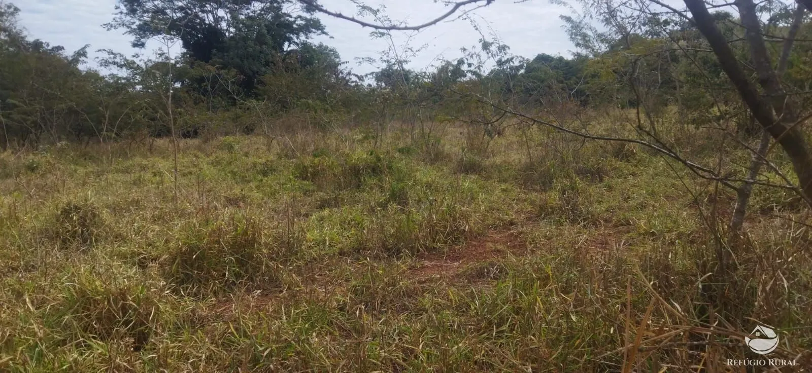 Small farm for sale of 26,312 acres in Frutal, MG, Brazil