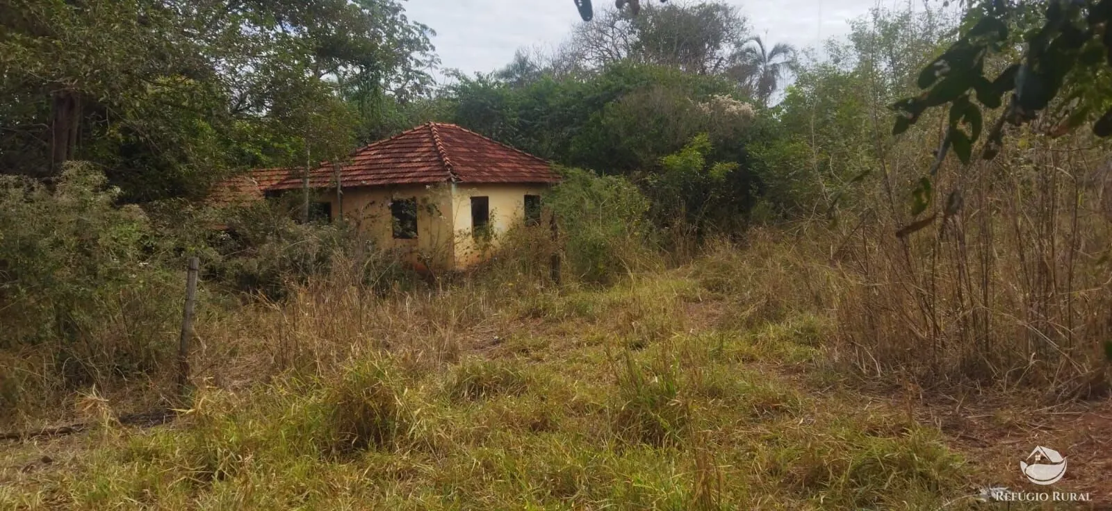 Small farm for sale of 26,312 acres in Frutal, MG, Brazil