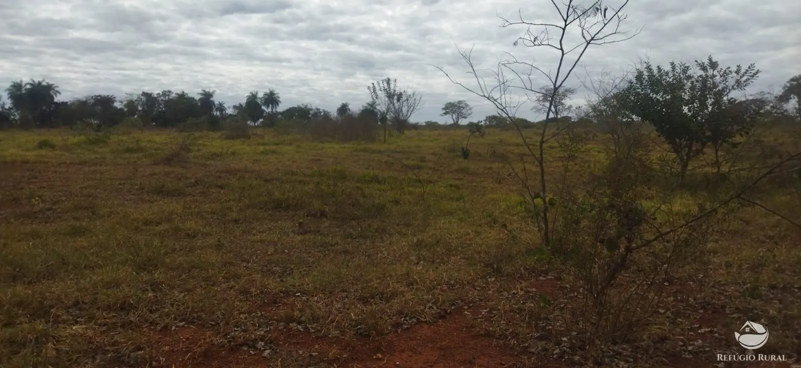 Small farm for sale of 26,312 acres in Frutal, MG, Brazil