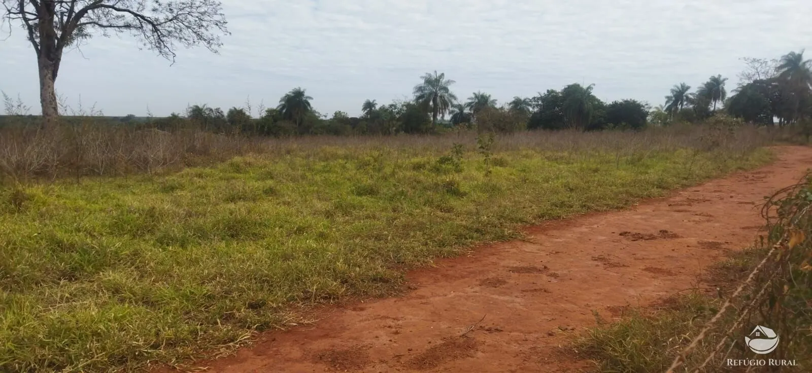 Small farm for sale of 26,312 acres in Frutal, MG, Brazil