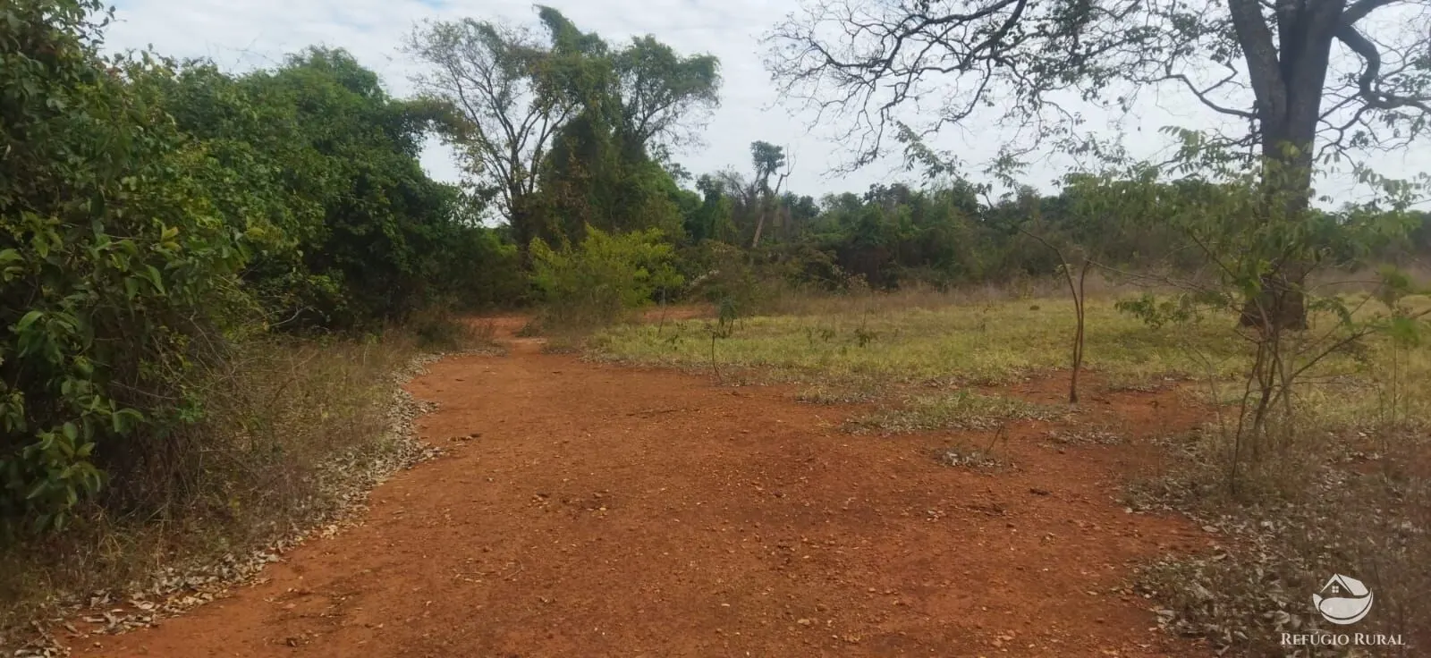 Small farm for sale of 26,312 acres in Frutal, MG, Brazil