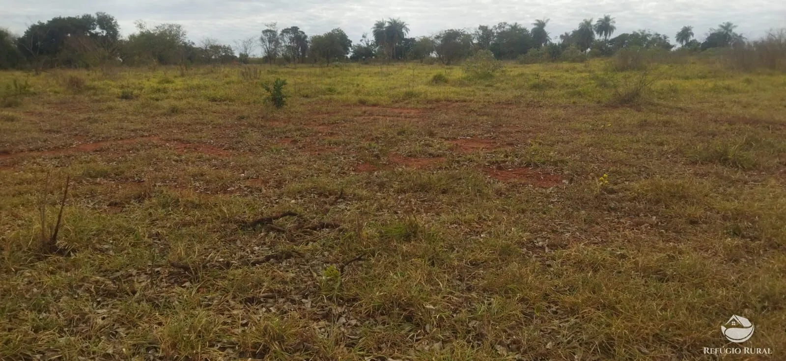 Small farm for sale of 26,312 acres in Frutal, MG, Brazil