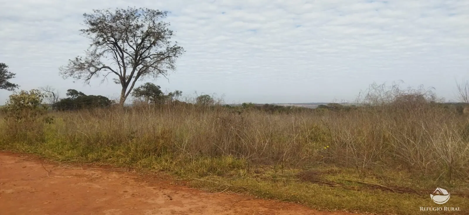 Small farm for sale of 26,312 acres in Frutal, MG, Brazil