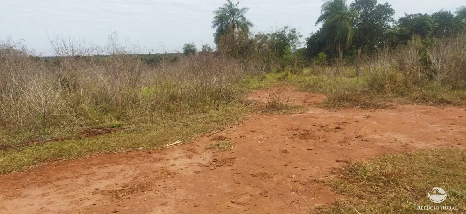 Small farm for sale of 26,312 acres in Frutal, MG, Brazil