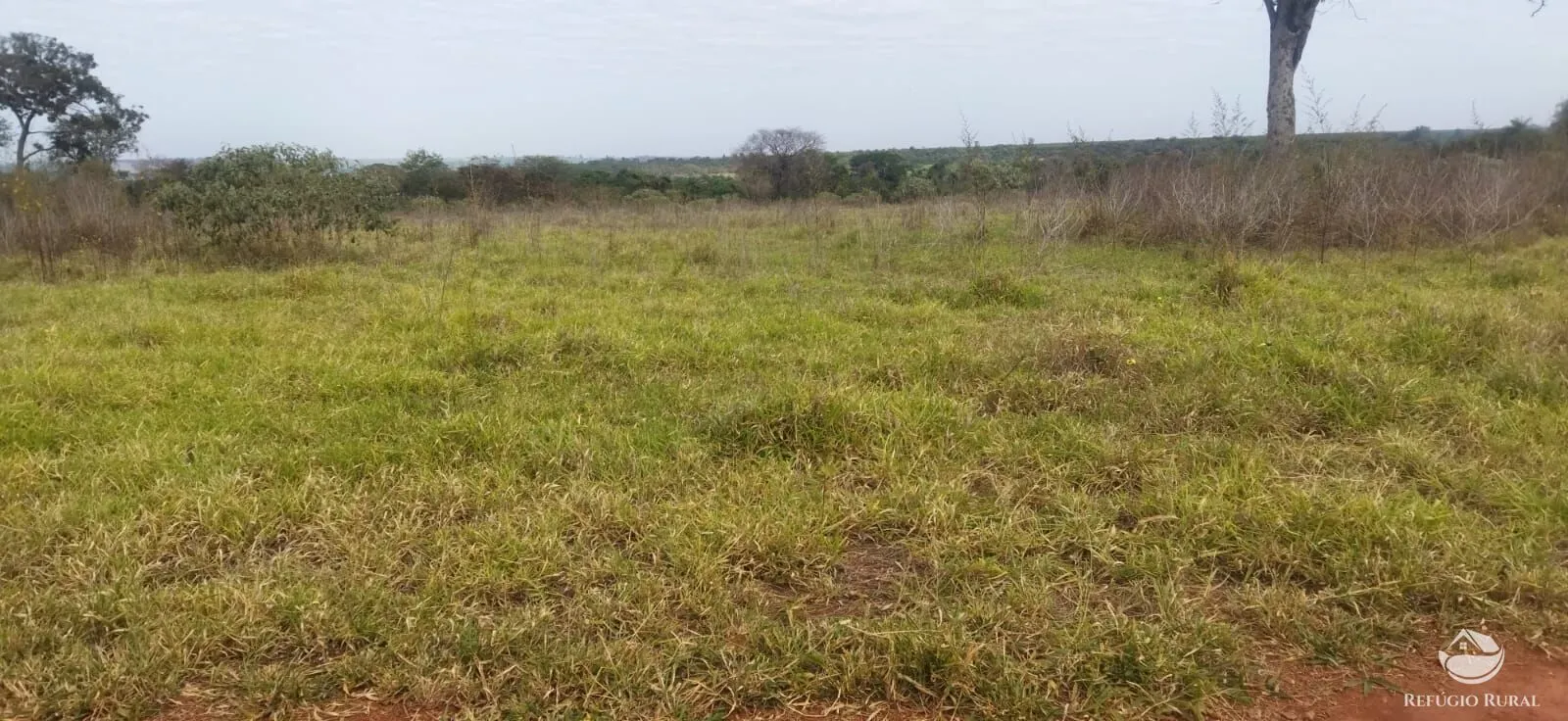 Small farm for sale of 26,312 acres in Frutal, MG, Brazil