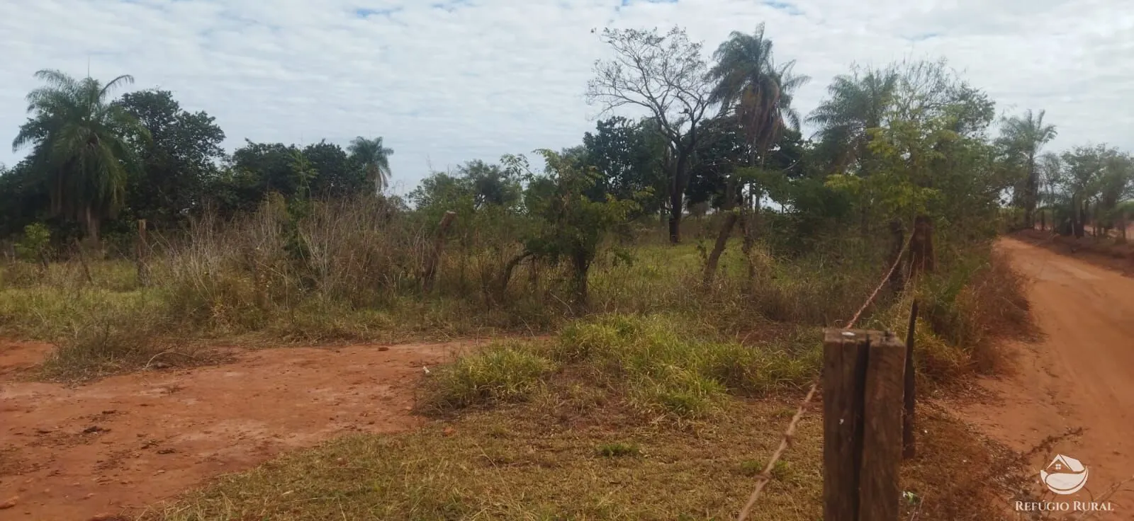 Small farm for sale of 26,312 acres in Frutal, MG, Brazil
