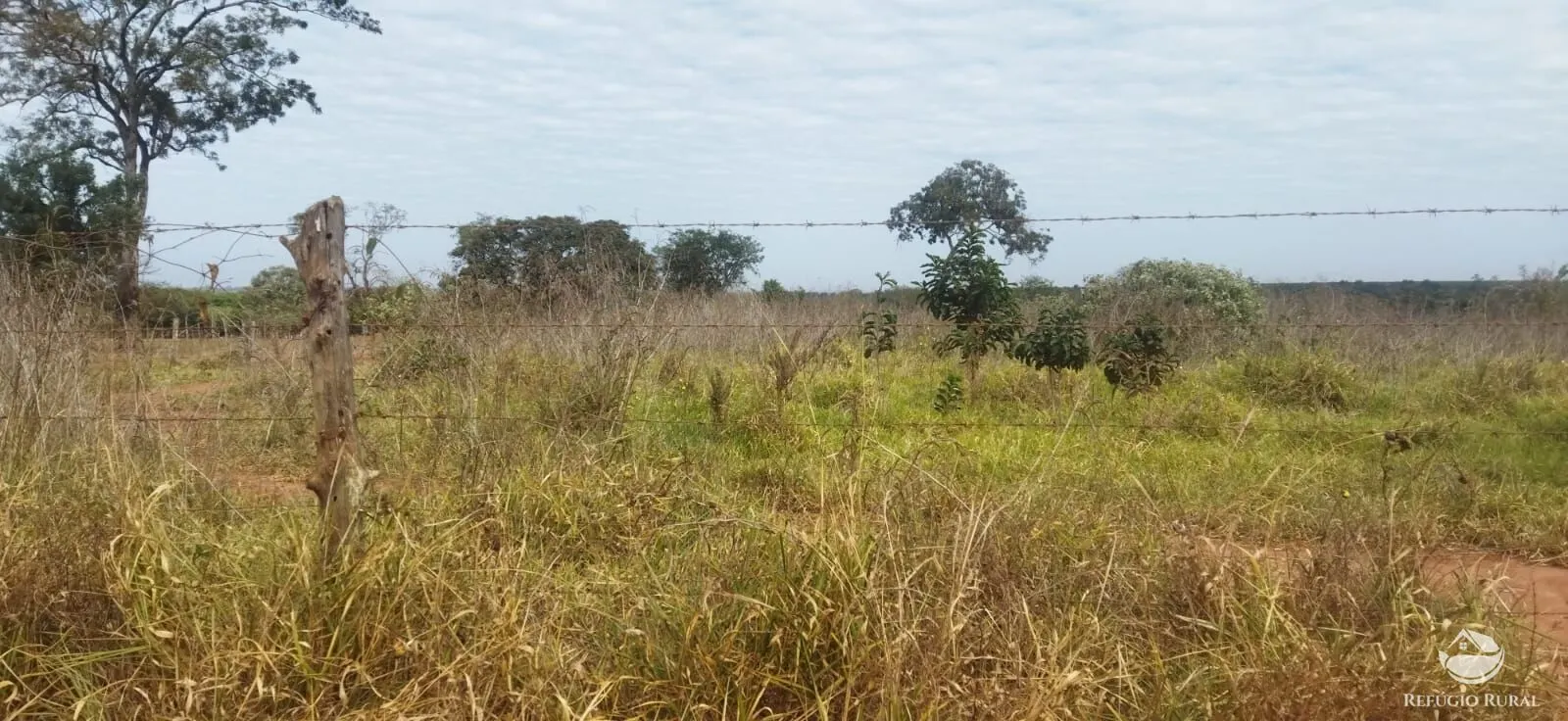 Small farm for sale of 26,312 acres in Frutal, MG, Brazil