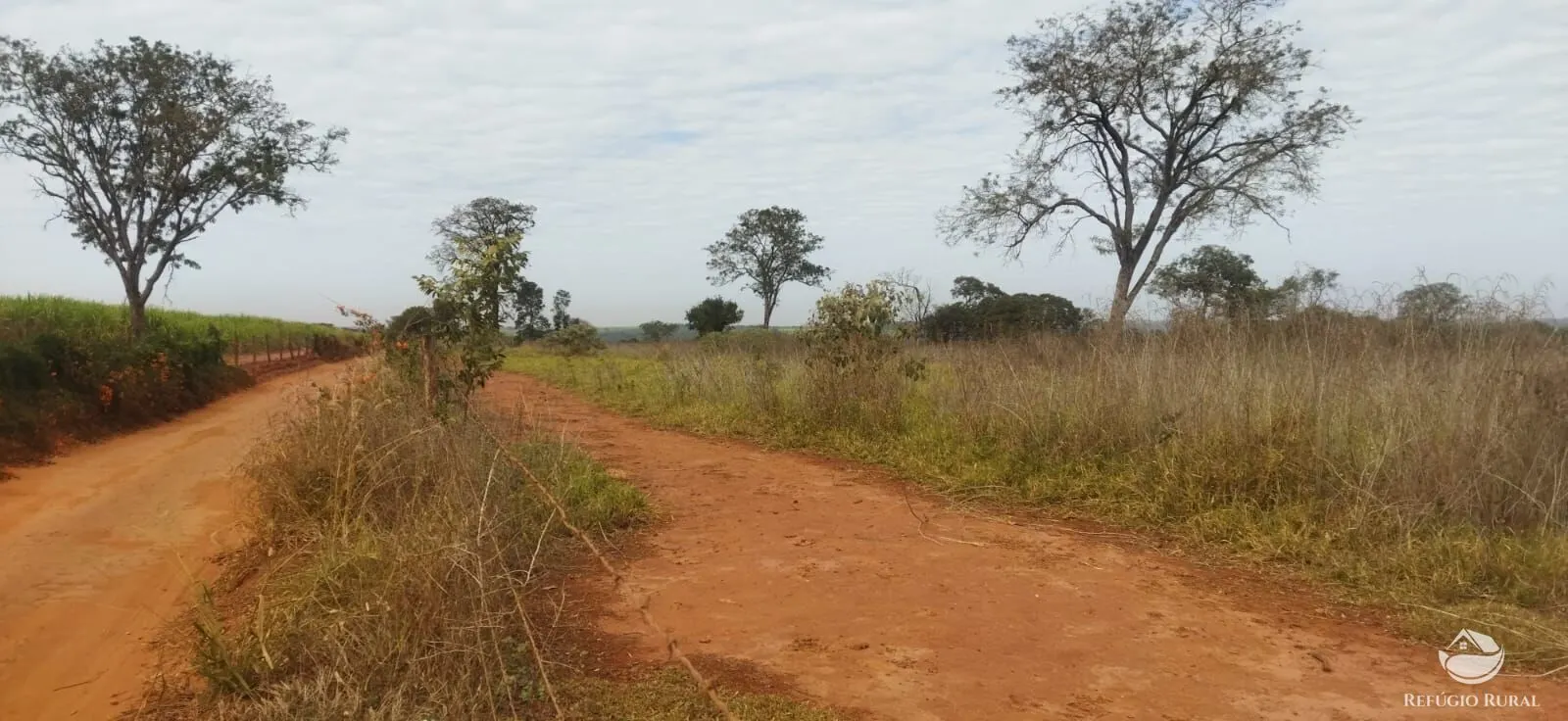 Small farm for sale of 26,312 acres in Frutal, MG, Brazil