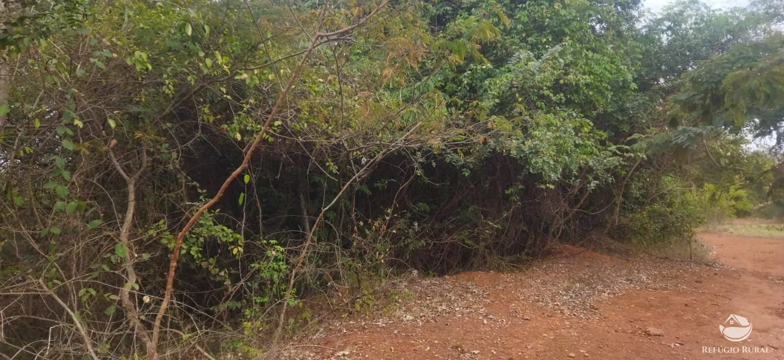 Small farm for sale of 26,312 acres in Frutal, MG, Brazil