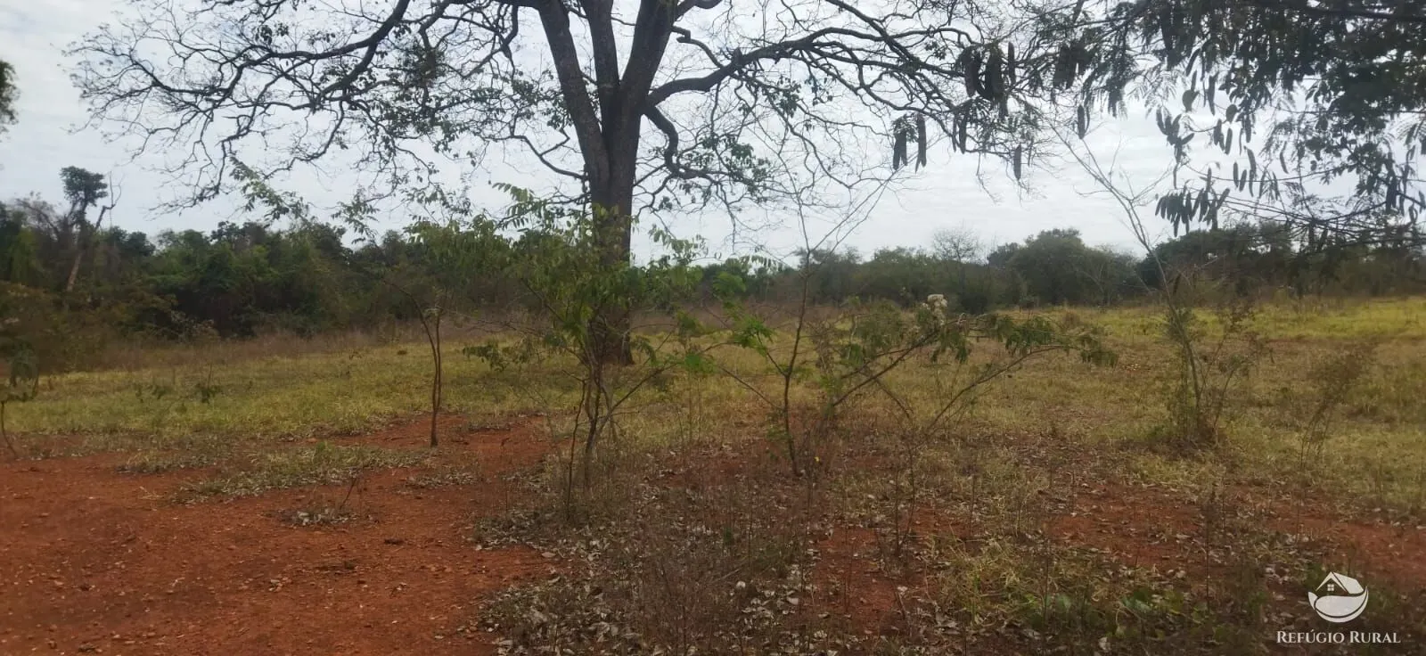 Sítio à venda de 10.648 ha em Frutal, MG, Brasil