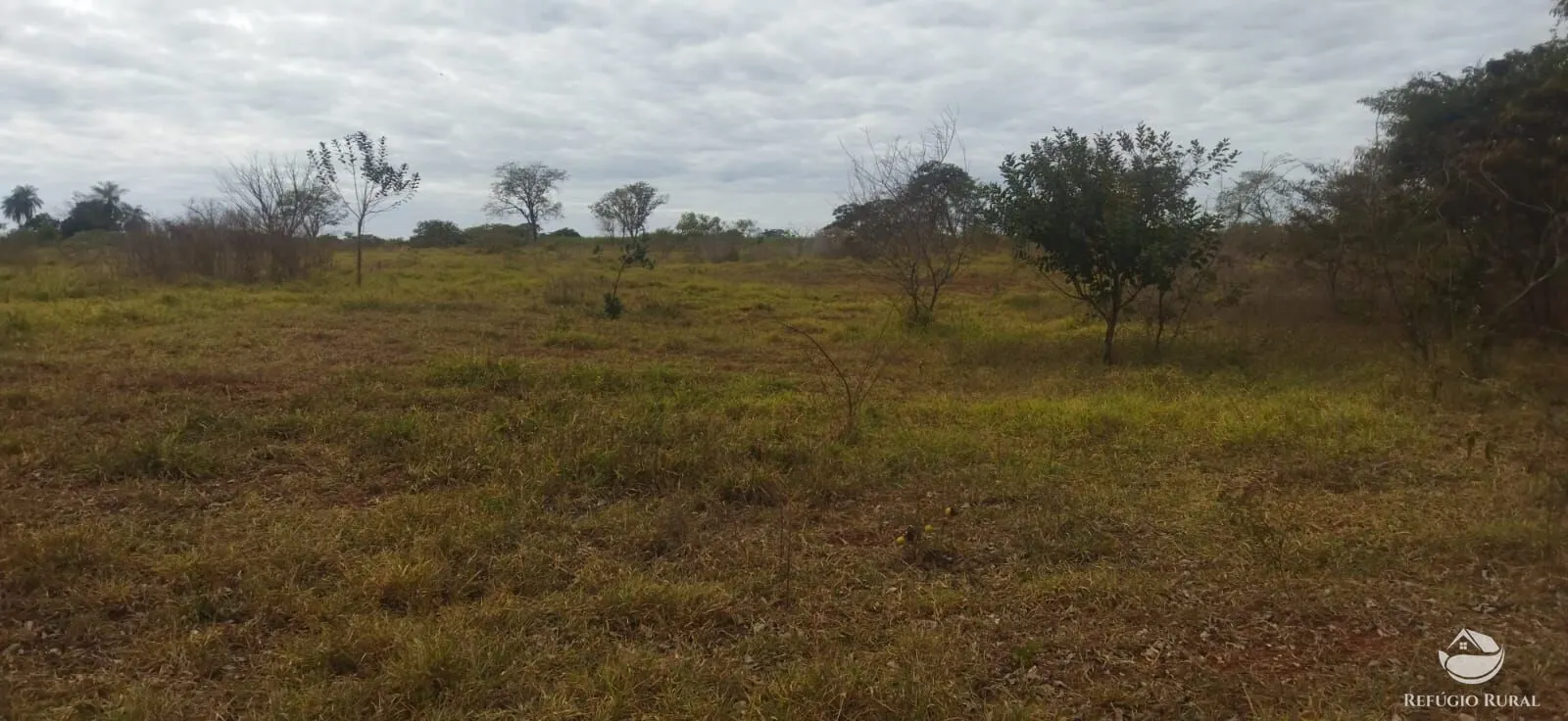 Small farm for sale of 26,312 acres in Frutal, MG, Brazil