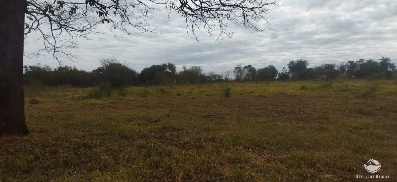Small farm for sale of 26,312 acres in Frutal, MG, Brazil