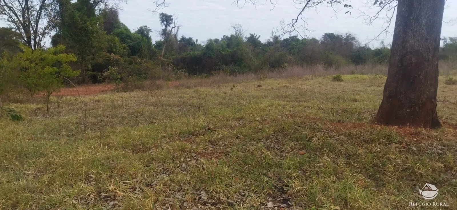 Small farm for sale of 26,312 acres in Frutal, MG, Brazil