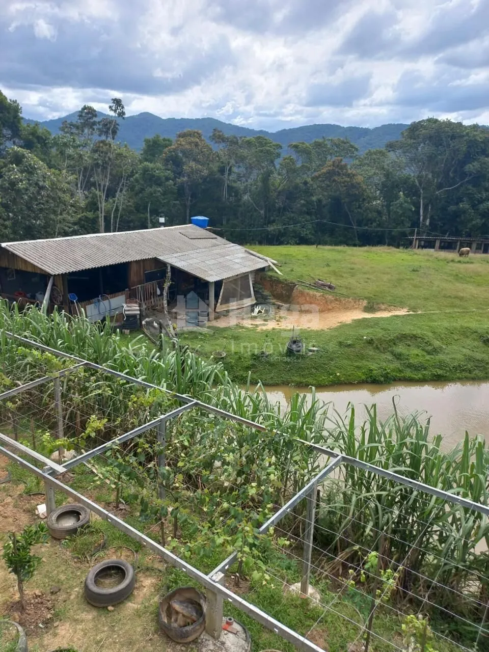 Chácara à venda de 1 ha em Major Gercino, SC, Brasil