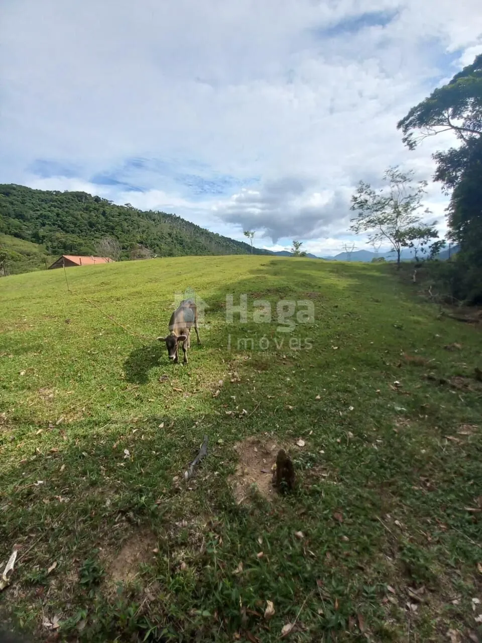 Chácara à venda de 1 ha em Major Gercino, SC, Brasil