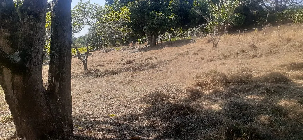 Plot for sale of 1,305 m² in São José dos Campos, SP, Brazil