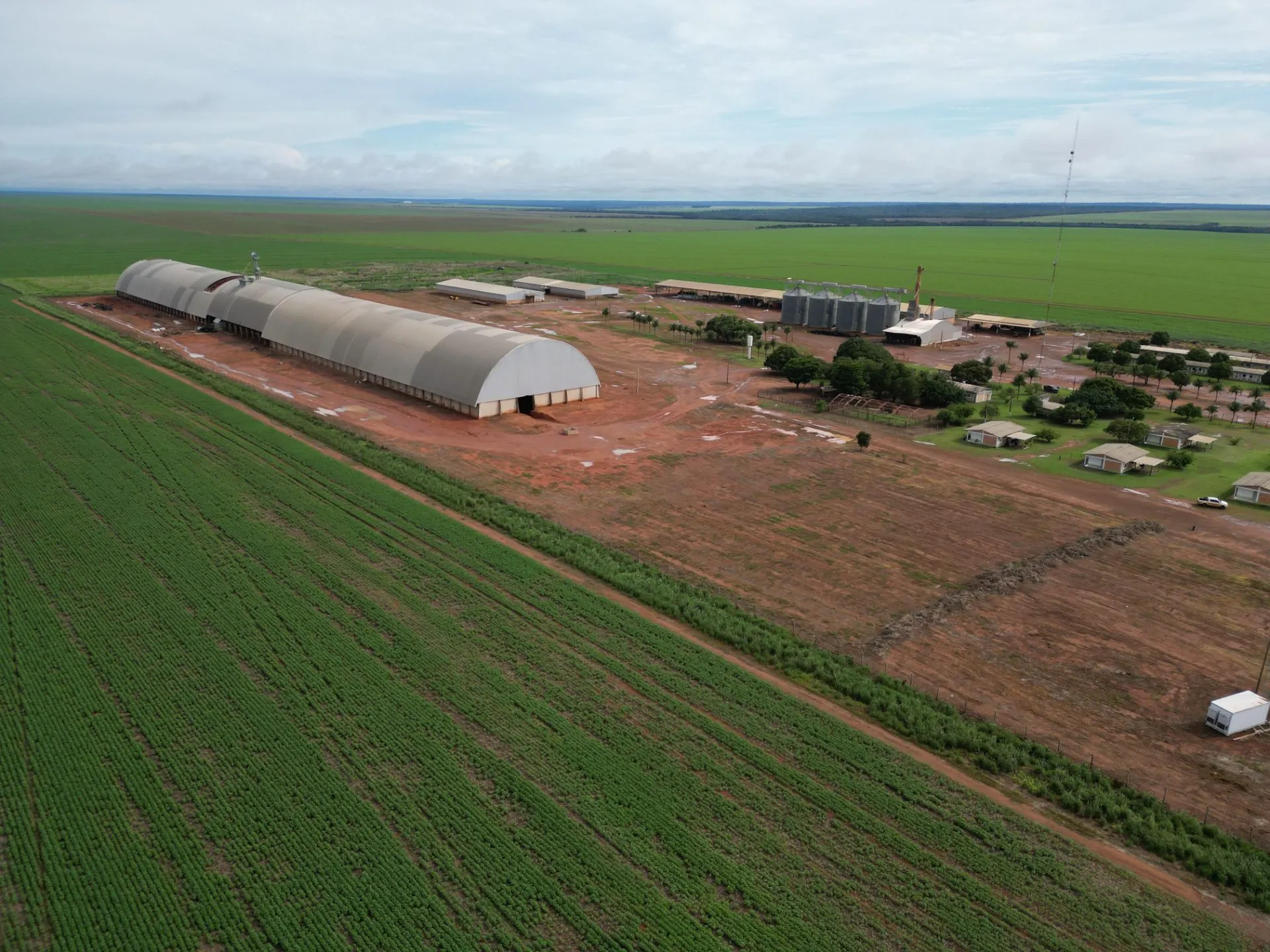 Farm for sale of 39,319 acres in Nova Ubiratã, MT, Brazil