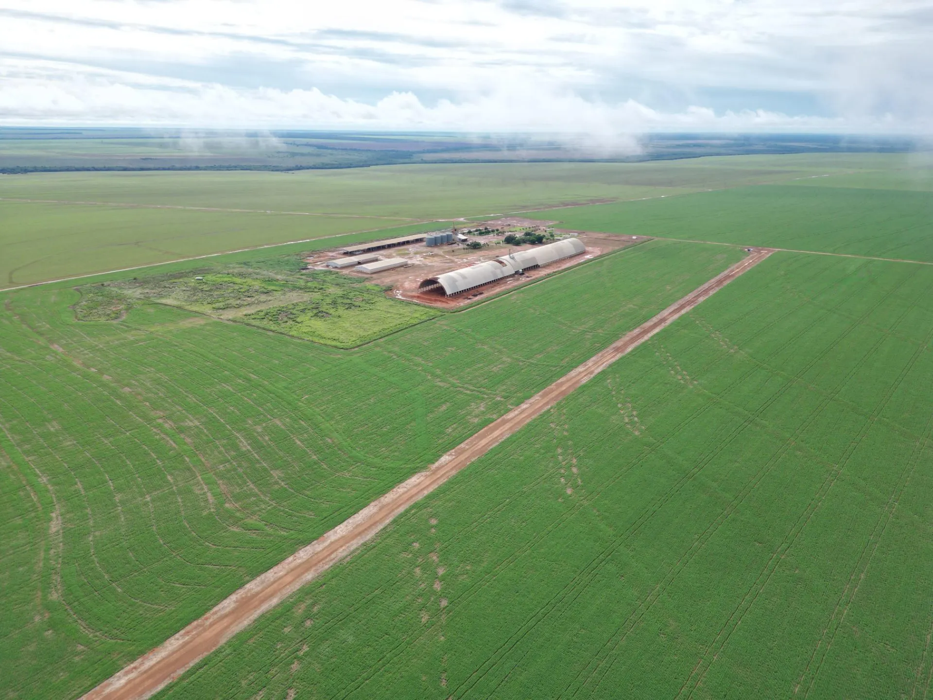 Farm for sale of 39,319 acres in Nova Ubiratã, MT, Brazil