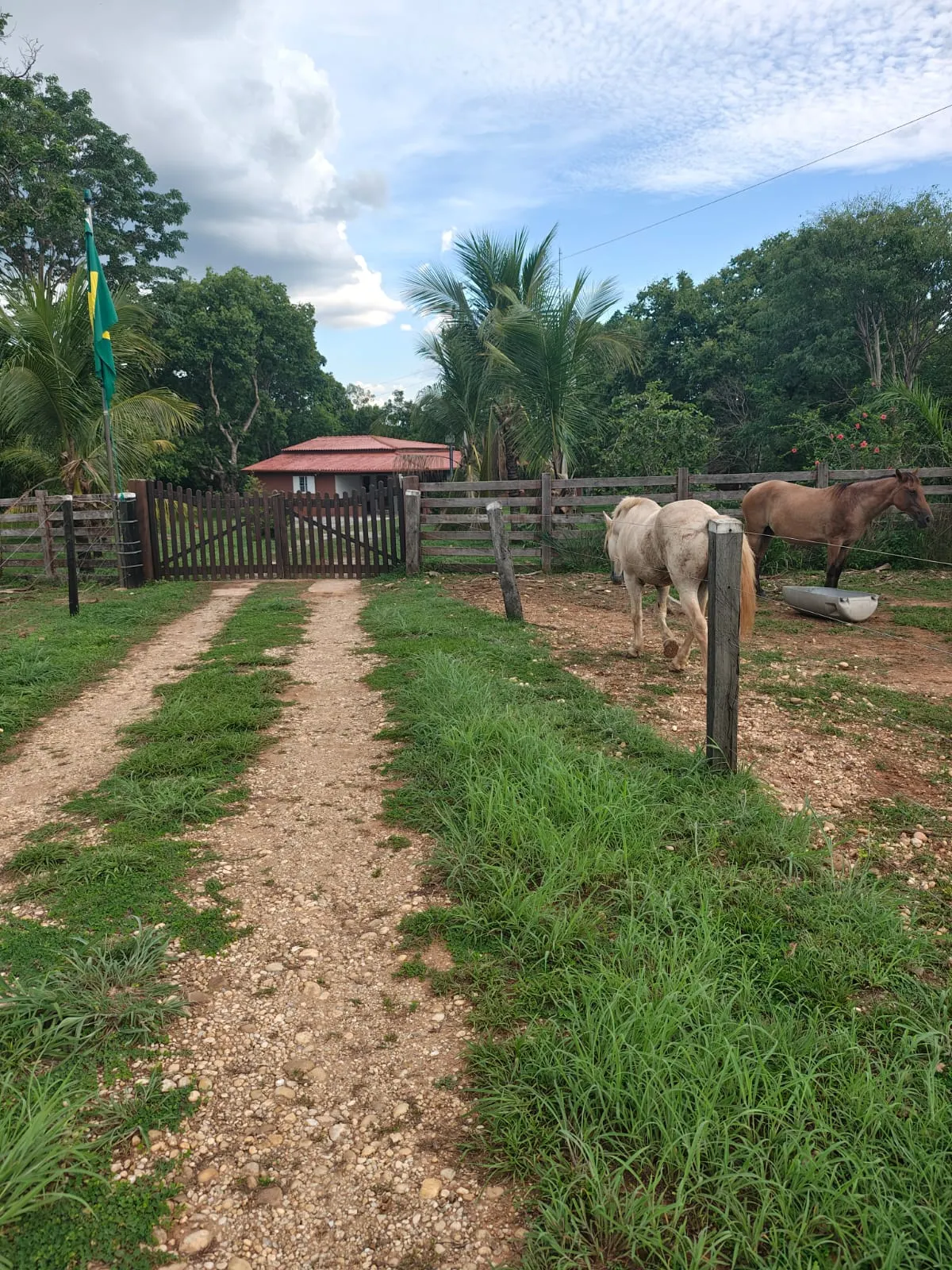 Fazenda à venda de 138 ha em Alto Paraguai, MT, Brasil