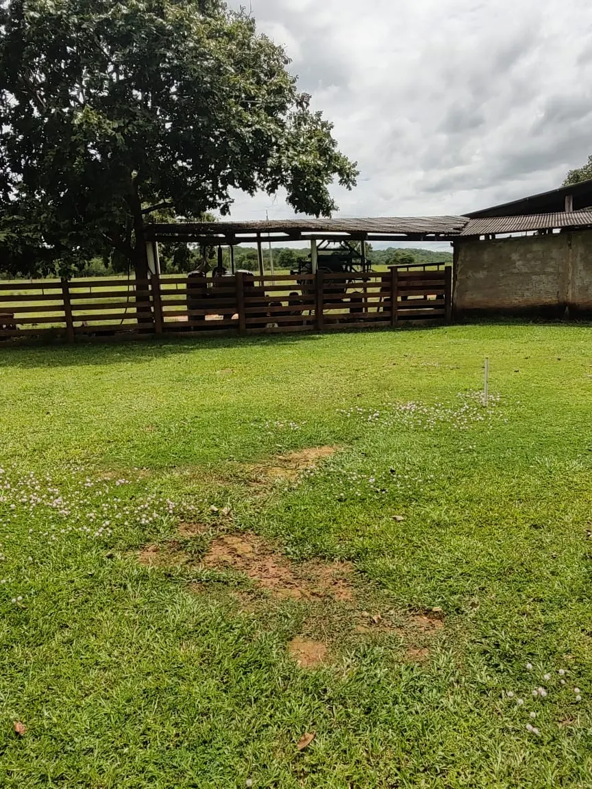 Fazenda à venda de 138 ha em Alto Paraguai, MT, Brasil