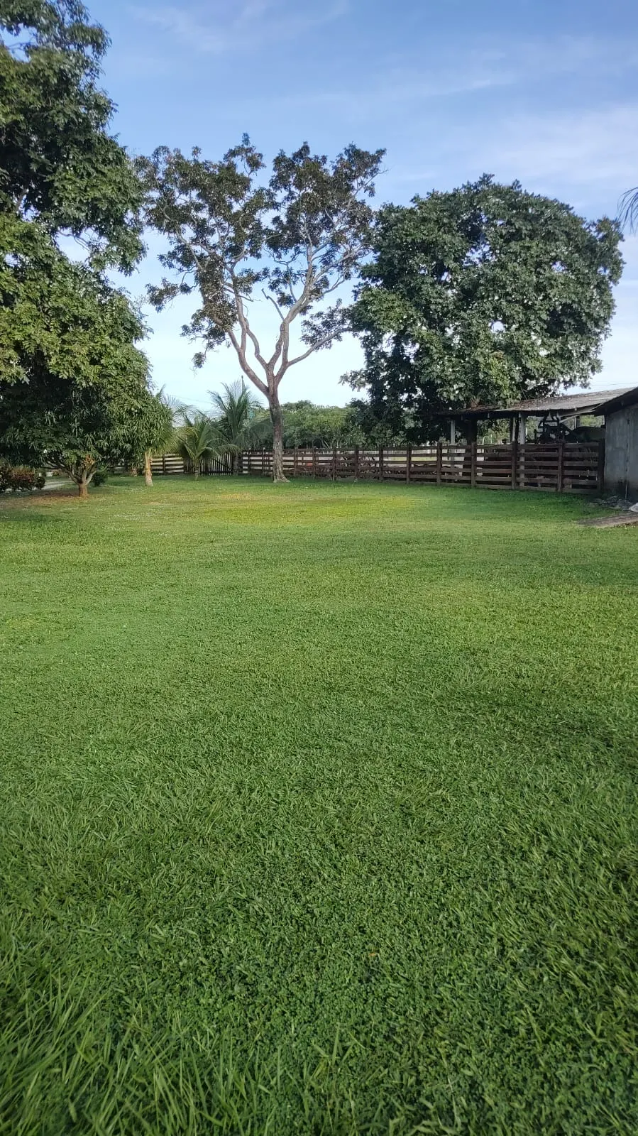 Fazenda à venda de 138 ha em Alto Paraguai, MT, Brasil