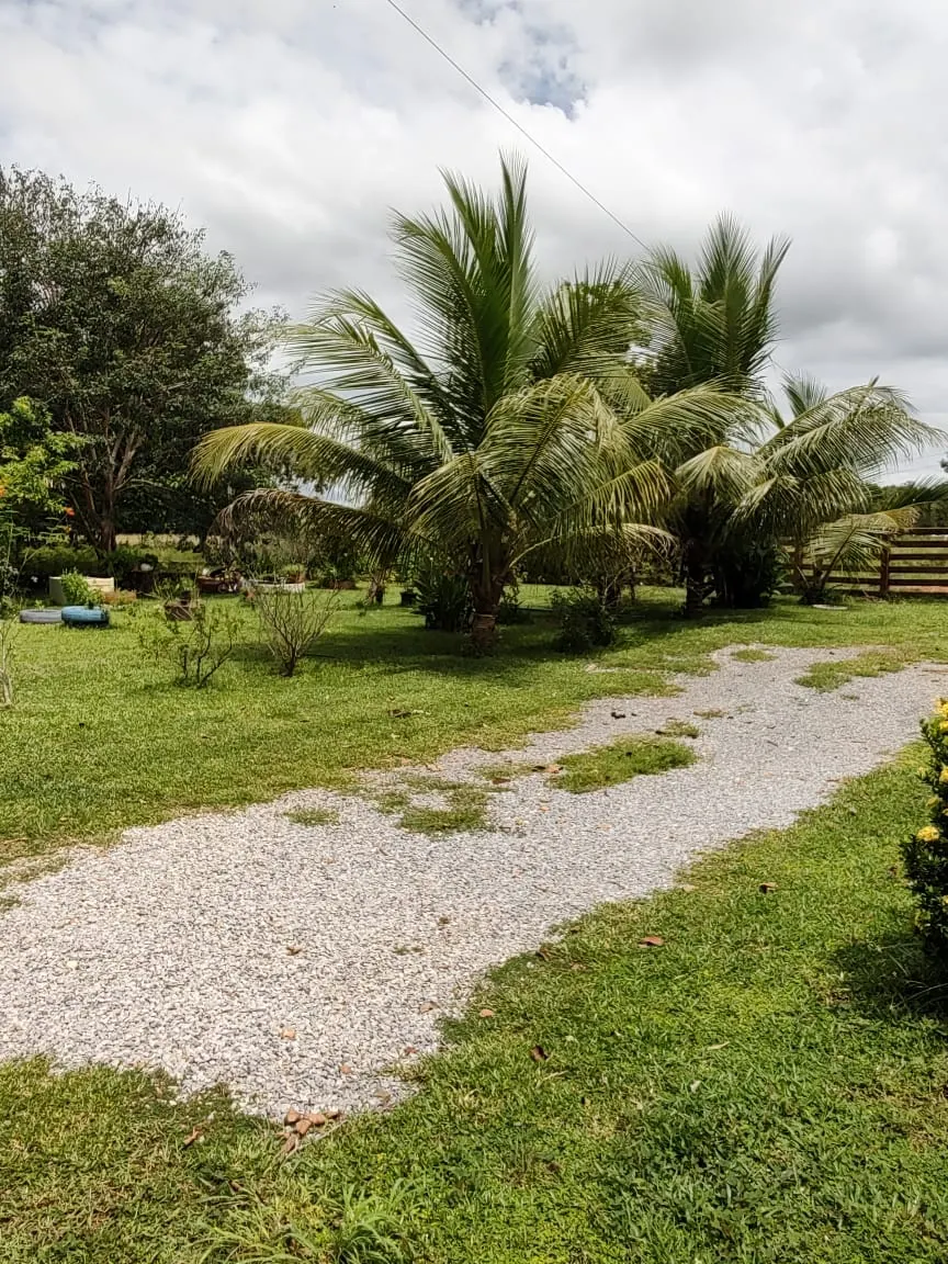 Fazenda à venda de 138 ha em Alto Paraguai, MT, Brasil