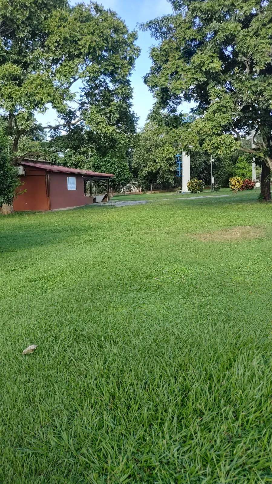 Fazenda à venda de 138 ha em Alto Paraguai, MT, Brasil