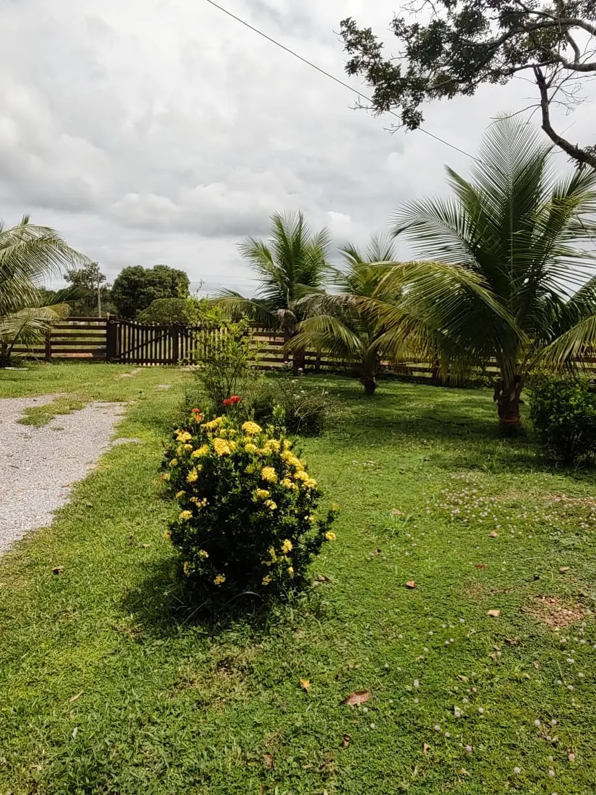 Fazenda à venda de 138 ha em Alto Paraguai, MT, Brasil