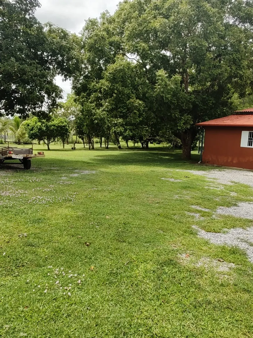 Fazenda à venda de 138 ha em Alto Paraguai, MT, Brasil