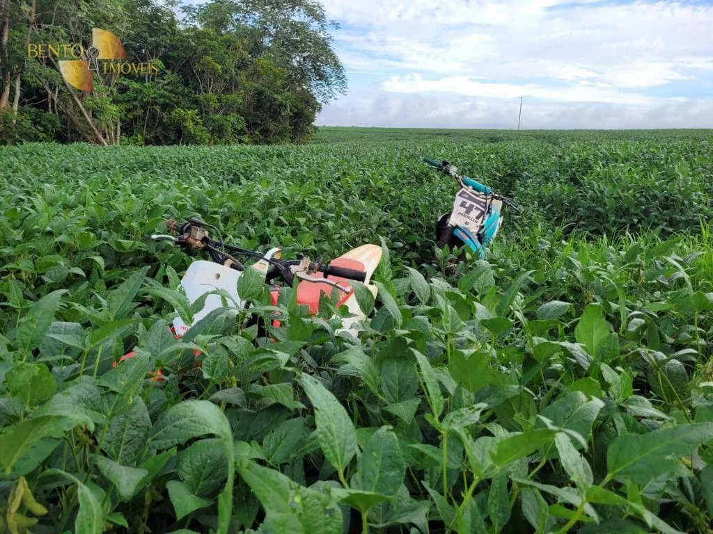 Fazenda à venda de 1.000 ha em Lucas do Rio Verde, MT, Brasil
