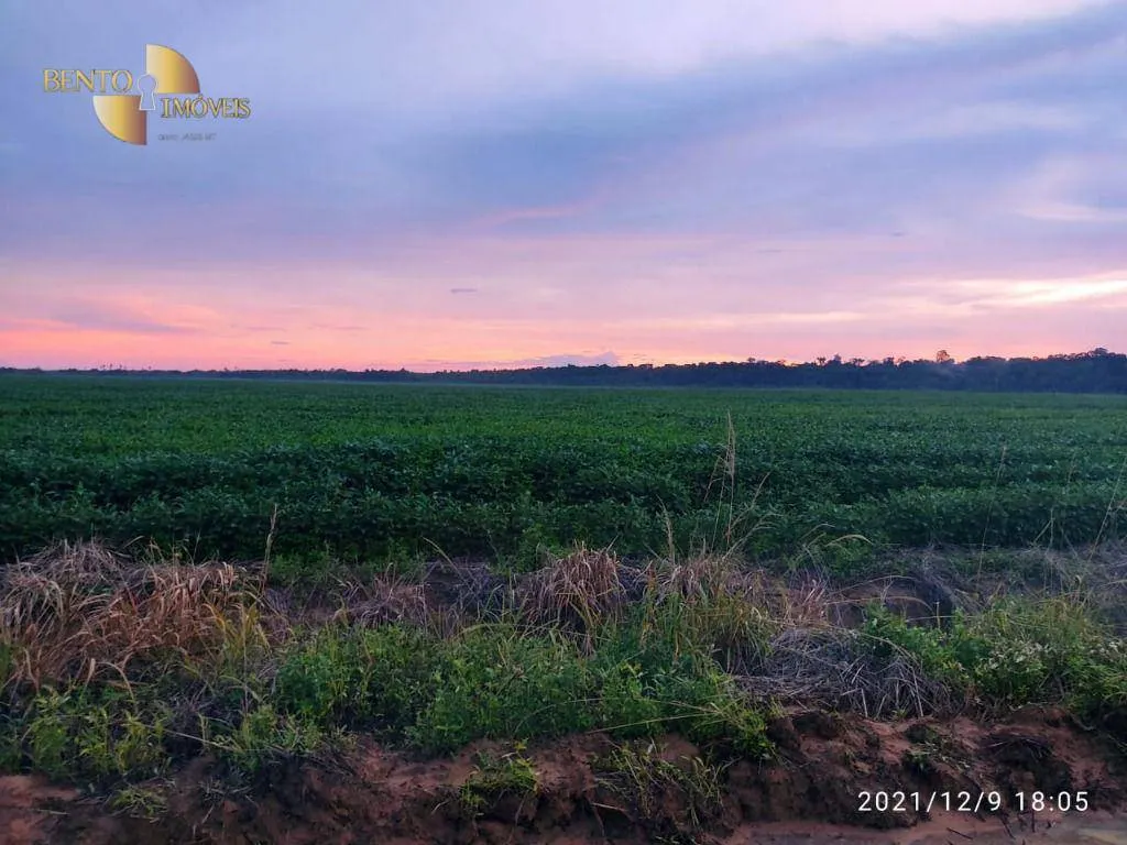 Fazenda à venda de 1.000 ha em Lucas do Rio Verde, MT, Brasil