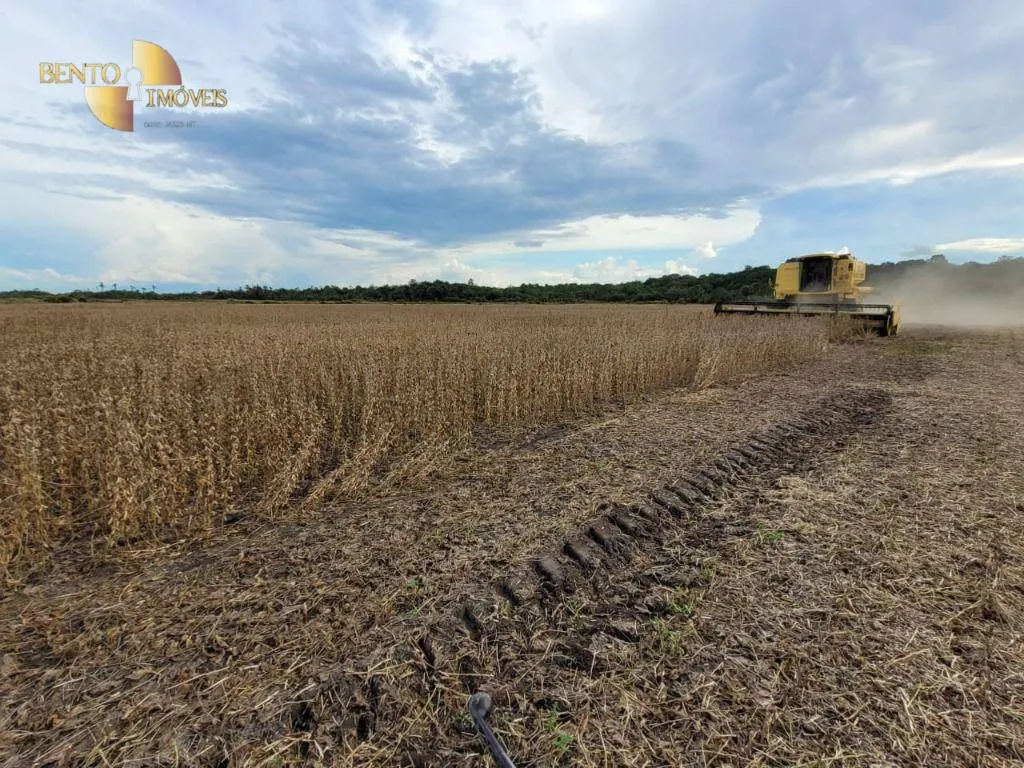 Fazenda à venda de 1.000 ha em Lucas do Rio Verde, MT, Brasil