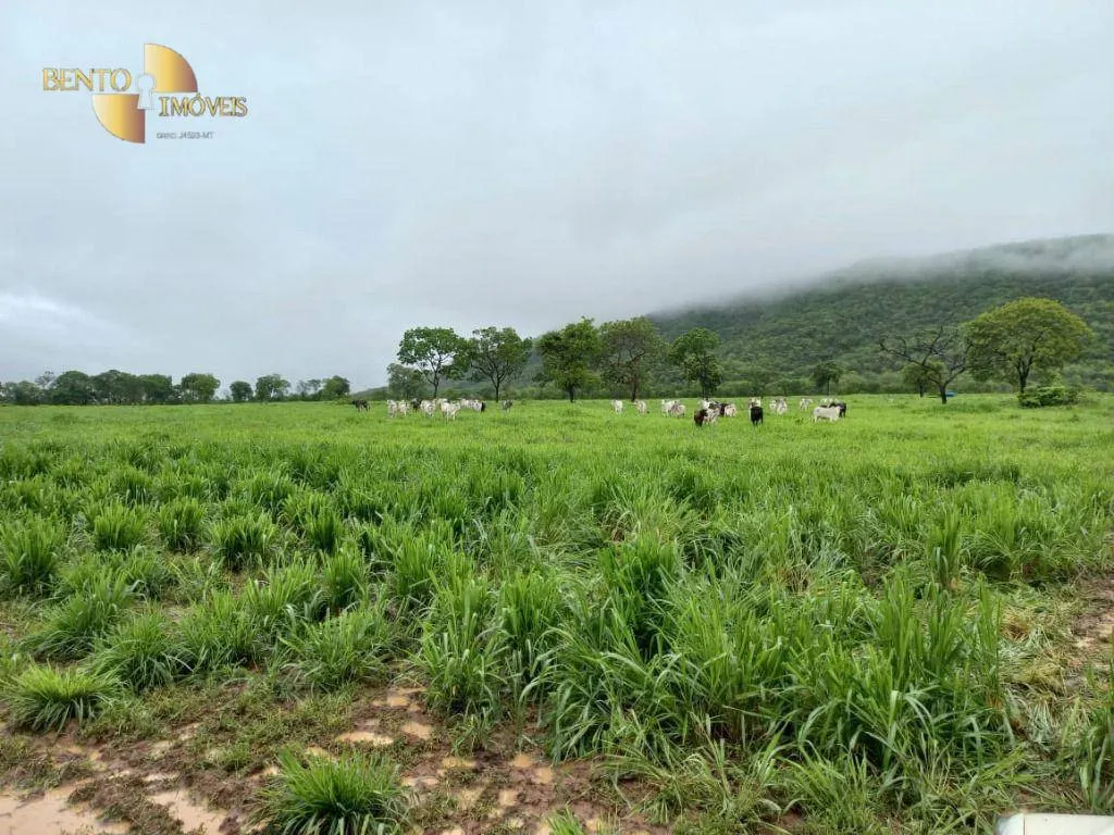 Fazenda à venda de 1.250 ha em Cáceres, MT, Brasil