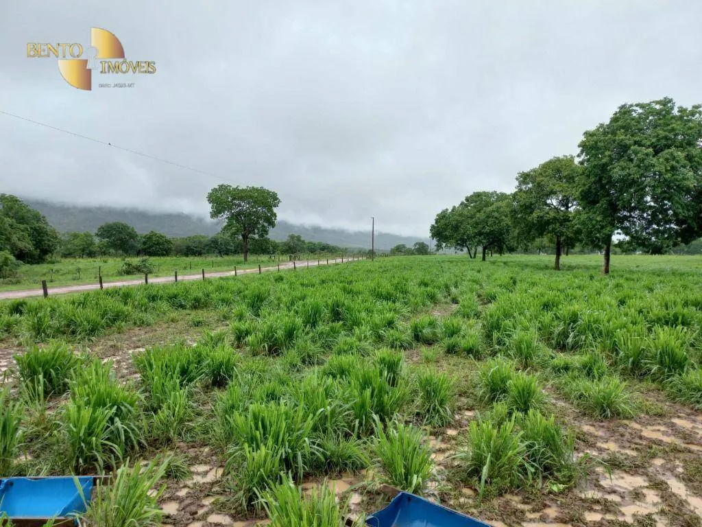 Fazenda à venda de 1.250 ha em Cáceres, MT, Brasil