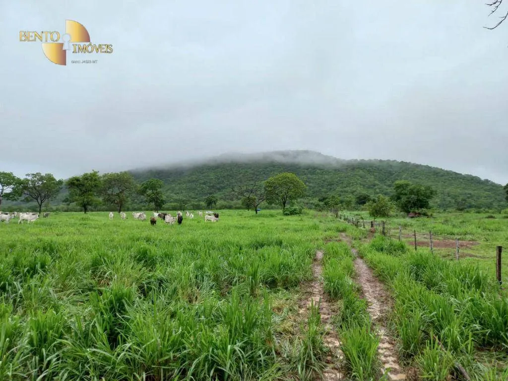 Fazenda à venda de 1.250 ha em Cáceres, MT, Brasil