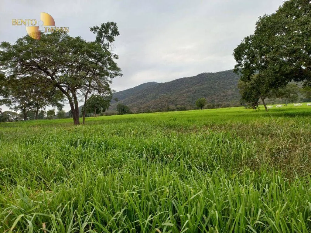 Fazenda à venda de 1.250 ha em Cáceres, MT, Brasil