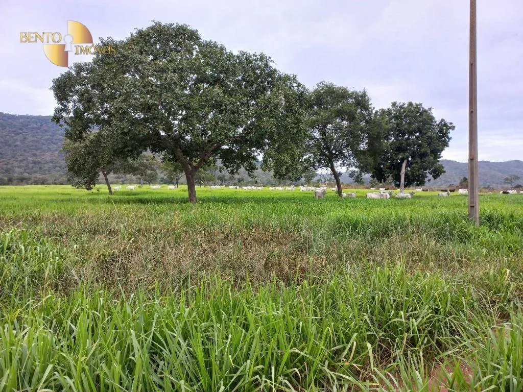 Fazenda à venda de 1.250 ha em Cáceres, MT, Brasil