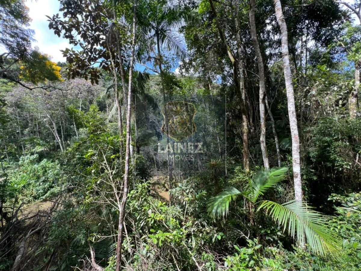 Sítio à venda de 19 ha em São Lourenço da Serra, SP, Brasil