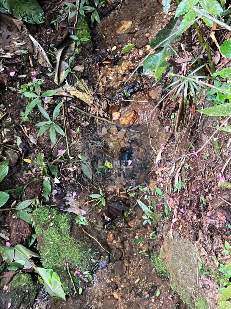 Sítio à venda de 19 ha em São Lourenço da Serra, SP, Brasil