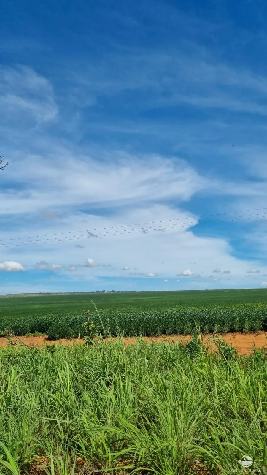 Fazenda à venda de 1.738 ha em Cristalina, GO, Brasil