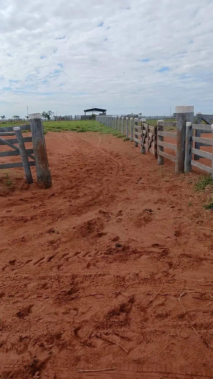 Fazenda à venda de 16.000 ha em Capitán Bado, Paraguai