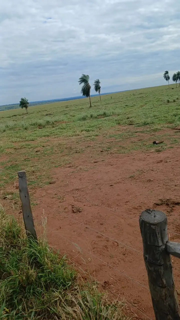 Fazenda à venda de 16.000 ha em Capitán Bado, Paraguai