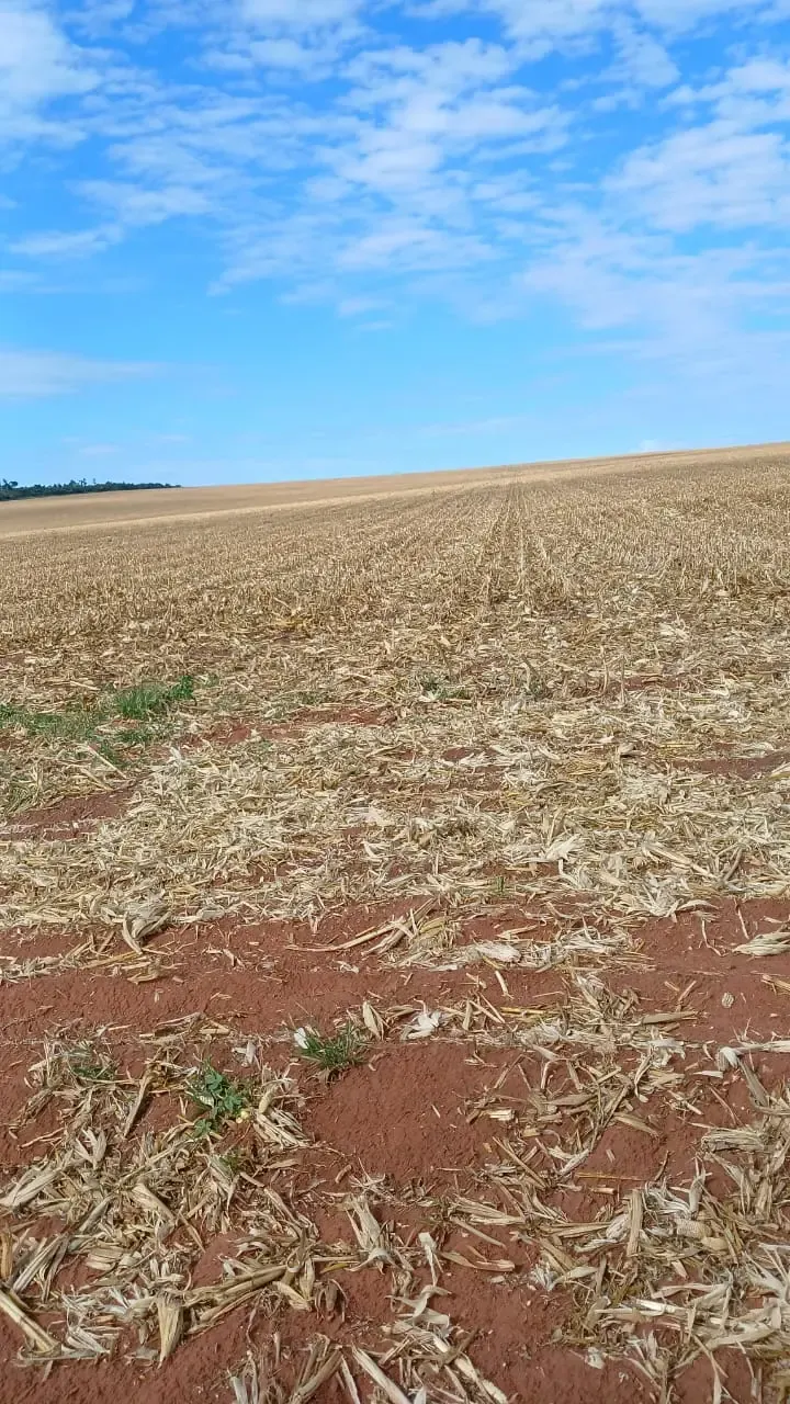 Fazenda à venda de 16.000 ha em Capitán Bado, Paraguai