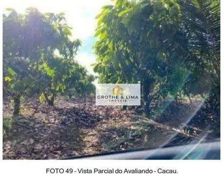 Farm for sale of 4,497 acres in Una, BA, Brazil