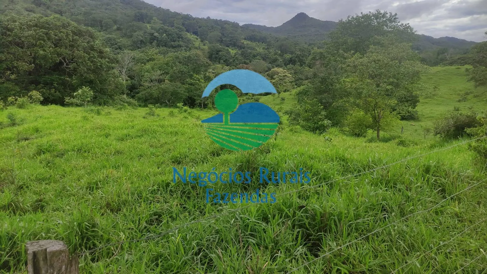 Fazenda à venda de 145 ha em Uruaçu, GO, Brasil
