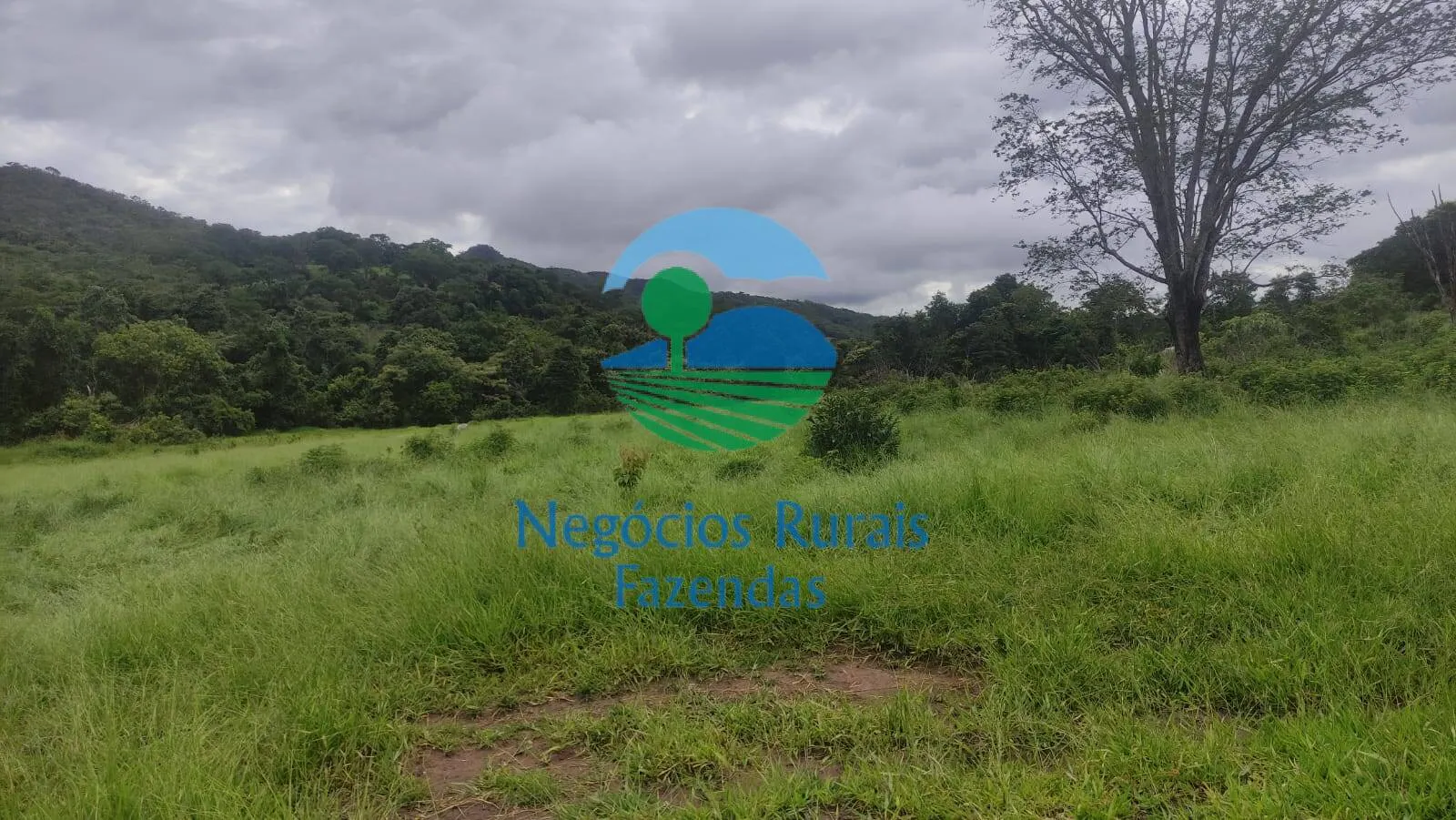 Fazenda à venda de 145 ha em Uruaçu, GO, Brasil